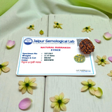 3 Mukhi Rudraksha - Lab Certified Natural Bead | Agni Dev Blessings for Inner Strength Gurupujan