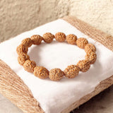 4 Mukhi Rudraksha Bracelet - Lab Certified - For Knowledge, Creativity, and Mental Clarity