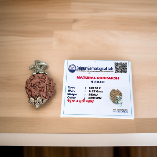 6 Mukhi & 4 Mukhi Rudraksha Combo - Lab Certified for Wisdom & Confidence