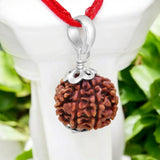 7 Mukhi Rudraksha - For Prosperity, Strength, and Divine Blessings