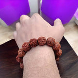8 Mukhi Rudraksha bracelet featuring eight-faced Rudraksha beads, offering protection, success, and spiritual growth