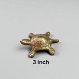 A detailed image of the Brace Kachua with Yantra, showcasing the tortoise shape and intricate Yantra design etched onto it, symbolizing prosperity, protection, and wish fulfillment.
