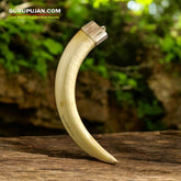 A lab-certified wild boar tooth pendant encased in a polished silver cap, displayed on a velvet box with a certificate of authenticity