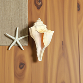 A natural Lakshami Shankh, lab-certified and sacred, used for Lakshmi Pujan and inviting prosperity and wealth into the home