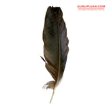 A natural black crow feather displayed on a clean white cloth, ready for use in Vedic remedies and spiritual rituals