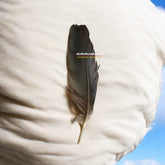 A natural black crow feather displayed on a clean white cloth, ready for use in Vedic remedies and spiritual rituals