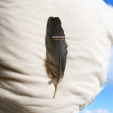 A natural black crow feather displayed on a clean white cloth, ready for use in Vedic remedies and spiritual rituals
