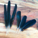 A natural black crow feather displayed on a clean white cloth, ready for use in Vedic remedies and spiritual rituals