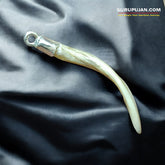 A silver pendant featuring an authentic owl nail (Ullu ke Nakhun) designed to attract luck, wealth, and prosperity.