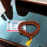 Close-up of a 54+1 bead Natural Rudraksha Mala with 8mm lab-certified beads