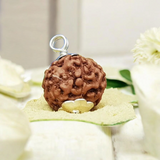 Combo Of 2 Mukhi With 6 Mukhi Rudraksha | Lab Certified