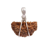 Combo of 1 Mukhi and 6 Mukhi Rudraksha Lab Certified beads for spiritual growth, confidence, and success.