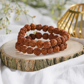 Combo of Rudraksha Bracelet, showcasing natural Rudraksha beads for spiritual growth and protection.