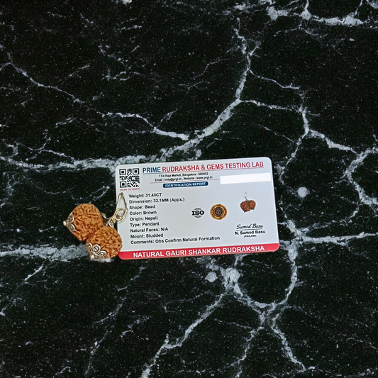 Gauri Shankar Rudraksha lab-certified bead, symbolizing the divine union of Lord Shiva and Goddess Parvati, ideal for spiritual growth, peace, and prosperity