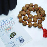 Image of 8 Mukhi Rudraksha mala with 27+1 and 108+1 bead variants displayed, showing lab certification badge and natural brown Rudraksha beads.