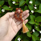 Image of Natural 5 Mukhi Rudraksha Finger Mala with 9+1 Beads of 8mm size, Lab Certified, ideal for meditation, chanting, puja, and healing