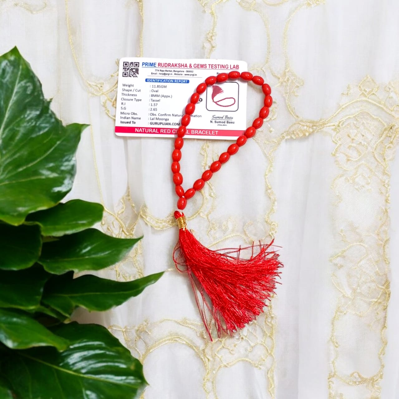 Lal Moonga Mala 27+1 beads made from natural Red Coral, designed to spread a positive aura and enhance emotional stability.