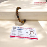 Natural Tiger's Eye Bracelet made from 8MM beads with a stretchable band, Lab Certified for authenticity.
