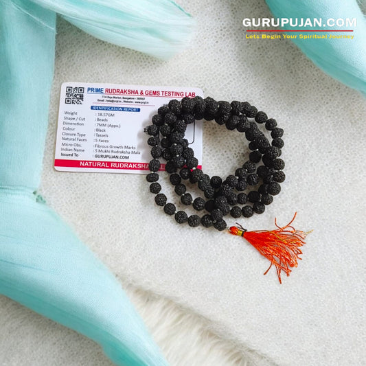 Original Black Rudraksha Mala made with 5 Mukhi beads, lab-certified, available for Jaap and wearing, ensuring spiritual protection and meditation benefits