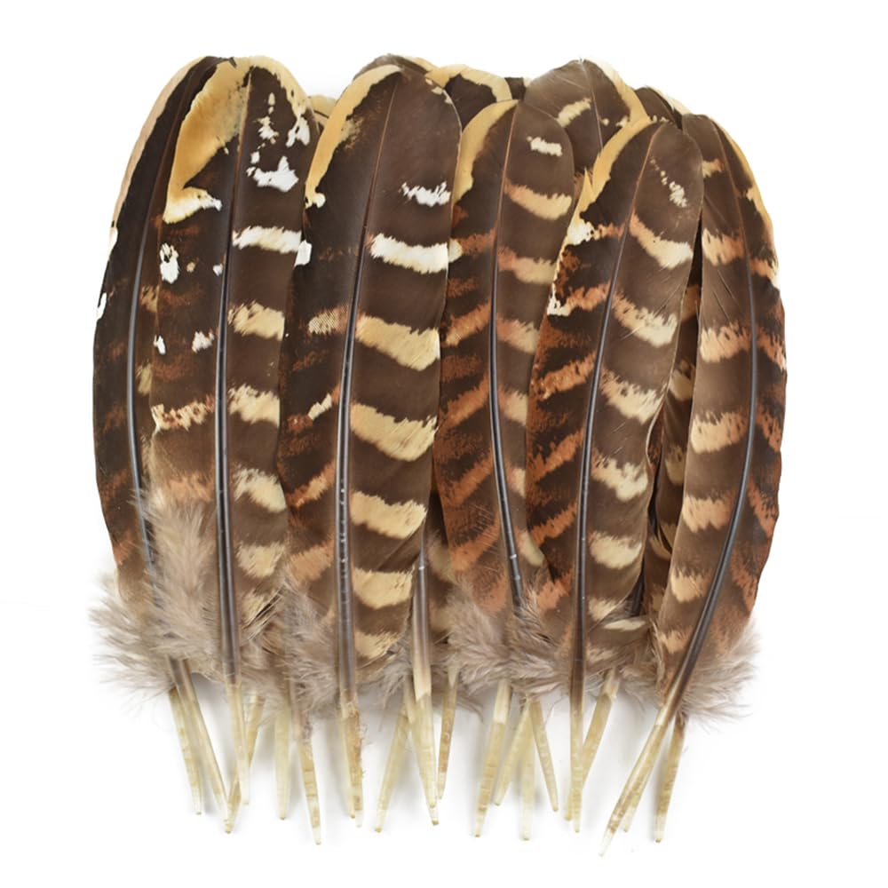 Original Eagle Feather (Garud Pankh) used in spiritual rituals, protection remedies, and Vastu healing practices