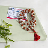 Original Lab Certified Rudraksha Sphatik Mala with 27+1 and 108+1 Beads โ Ideal for Meditation and Healing