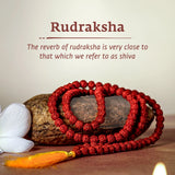 Combo of 5 Mukhi Rudraksha Mala & Red Pooja Aasan with Gomukhi Bag | Lab Certified