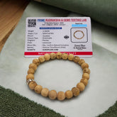 Tulsi Bracelet with 8MM natural Tulsi wood beads, stretchable design, certified for quality, enhancing spiritual growth and mental clarity.
