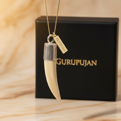 Shukar Dant Silver Cap Pendant | Wild Boar Teeth for Protection & Attraction