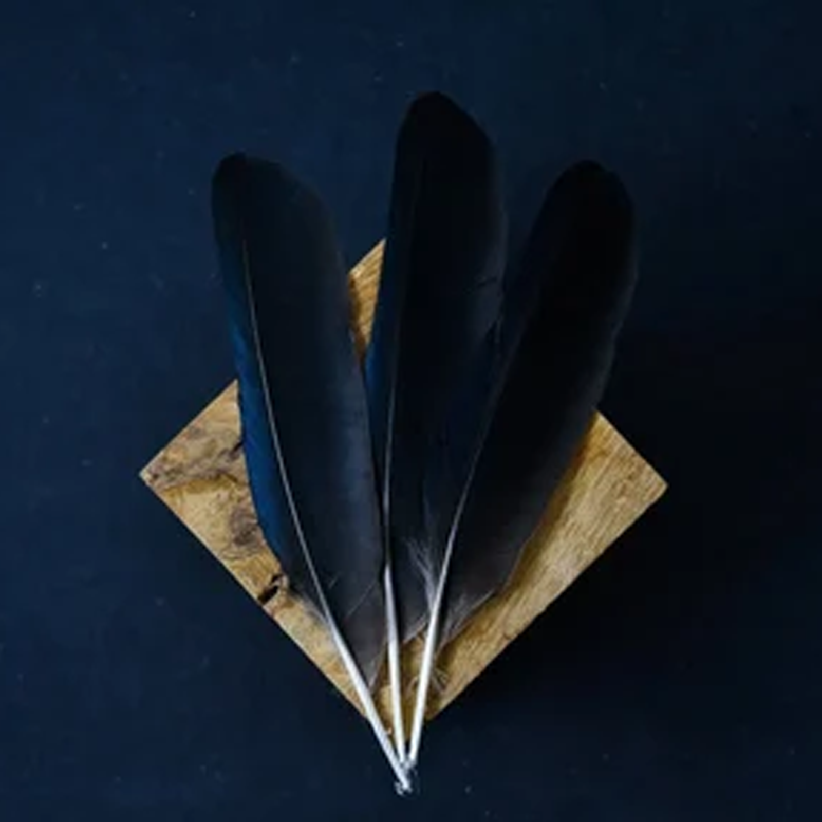100% Natural and Original Crow Feather (Kauwe Ka Pankh) used for spiritual rituals, pooja, Vastu remedies, and energy cleansing.