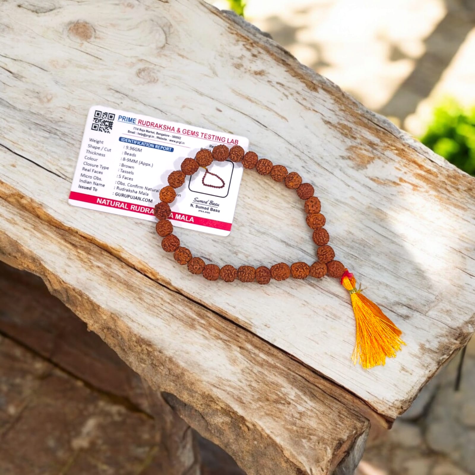 100% original 8MM Rudraksha Mala, lab-certified for authenticity, available in 27+1, 54+1, and 108+1 bead variants for jaap and wearing by Gurupujan.
