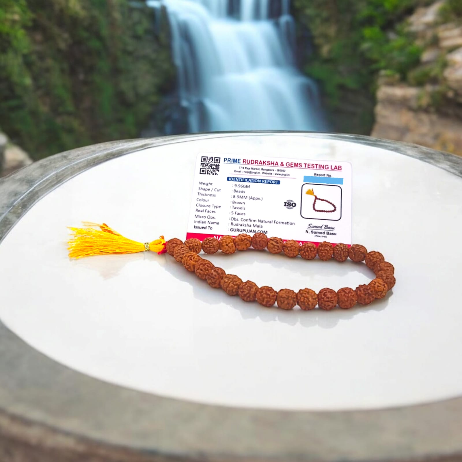 100% original 8MM Rudraksha Mala, lab-certified for authenticity, available in 27+1, 54+1, and 108+1 bead variants for jaap and wearing by Gurupujan.