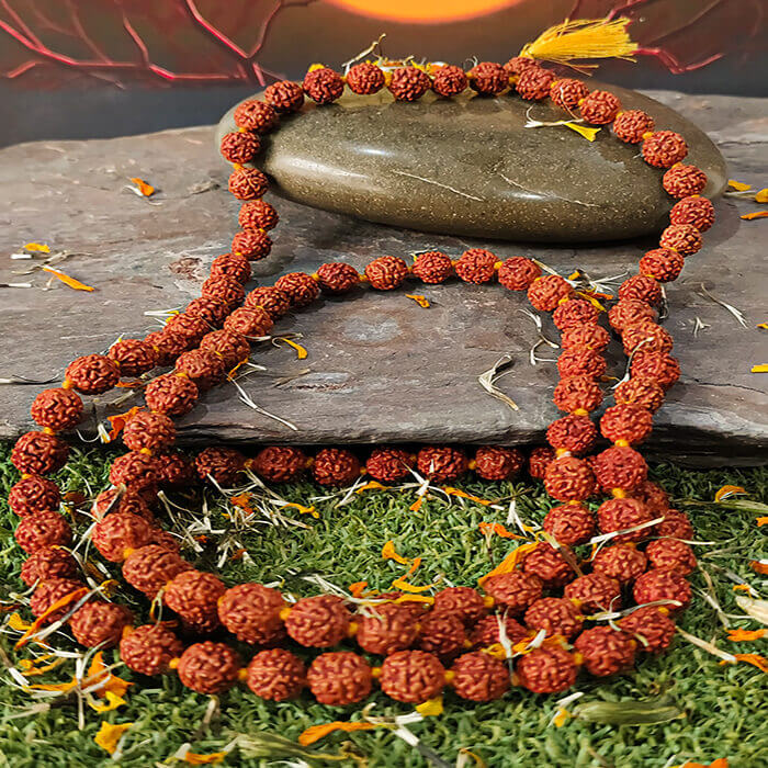 100% original 8MM Rudraksha Mala, lab-certified for authenticity, available in 27+1, 54+1, and 108+1 bead variants for jaap and wearing by Gurupujan.