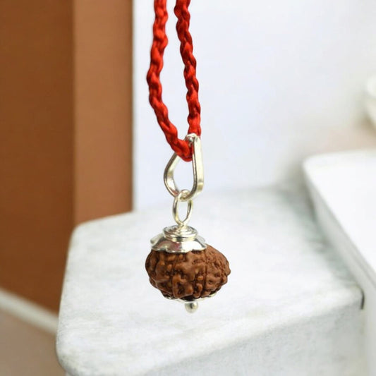 10 Mukhi Rudraksha - For Protecting the Wearer from Negative Energies and Bestowing Peace