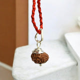 10 Mukhi Rudraksha - For Protecting the Wearer from Negative Energies and Bestowing Peace
