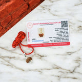 10 Mukhi Rudraksha - For Protecting the Wearer from Negative Energies and Bestowing Peace