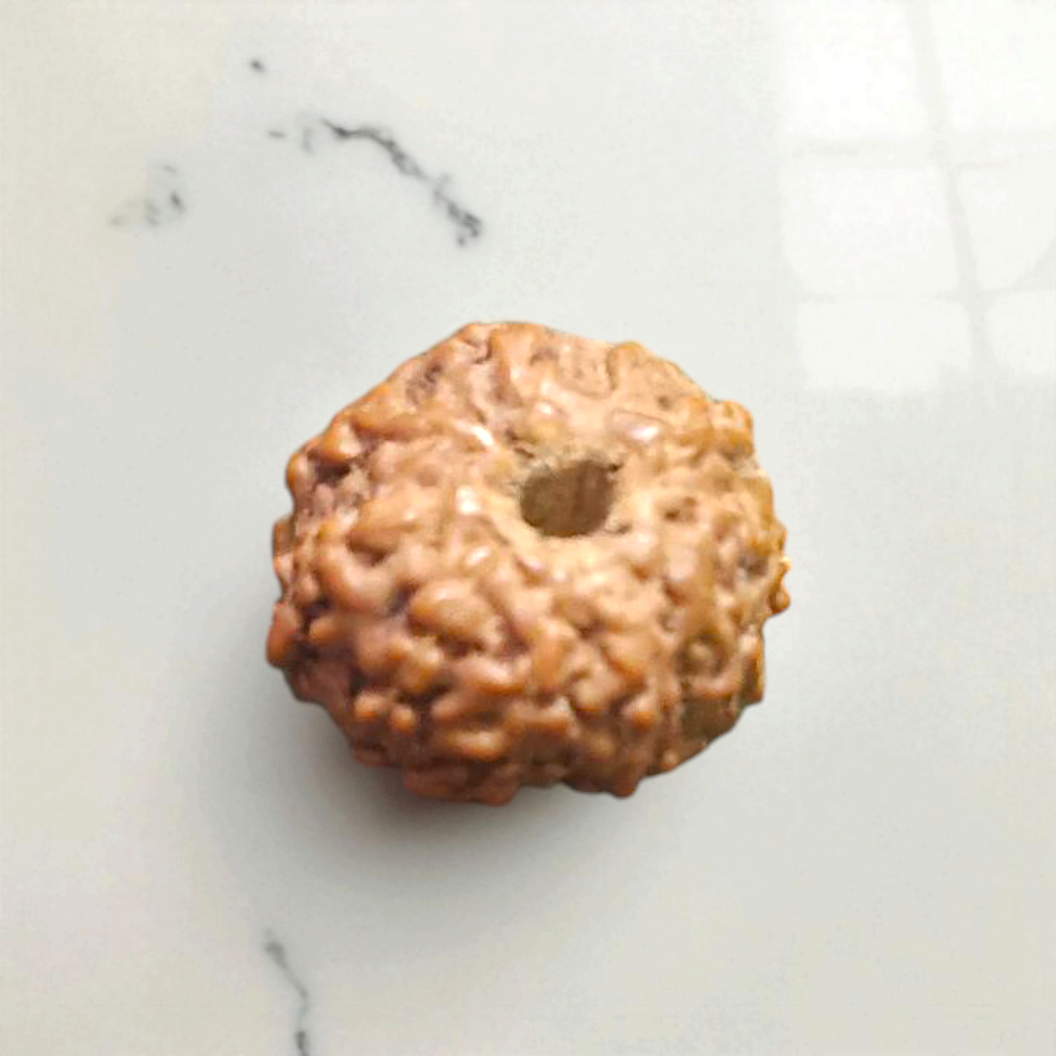 10 Mukhi Rudraksha - For Protecting the Wearer from Negative Energies and Bestowing Peace