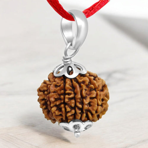 11 Mukhi Rudraksha Pendant Lab Certified for Wisdom & Protection