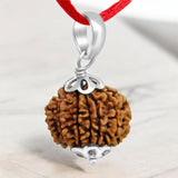 11 Mukhi Rudraksha - Lab Certified - For Wisdom, Protection, and Spiritual Growth