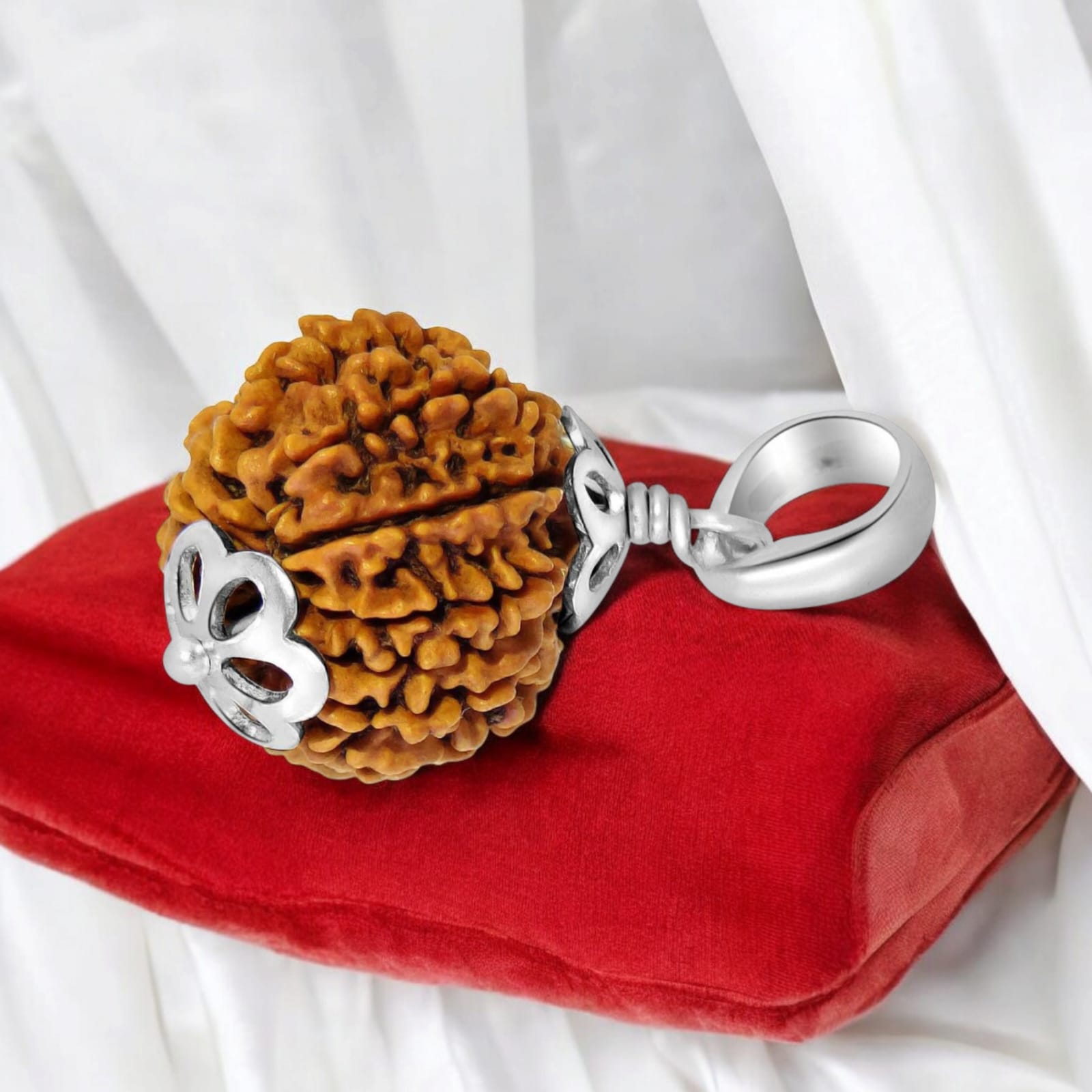 11 Mukhi Rudraksha - Lab Certified - For Wisdom, Protection, and Spiritual Growth