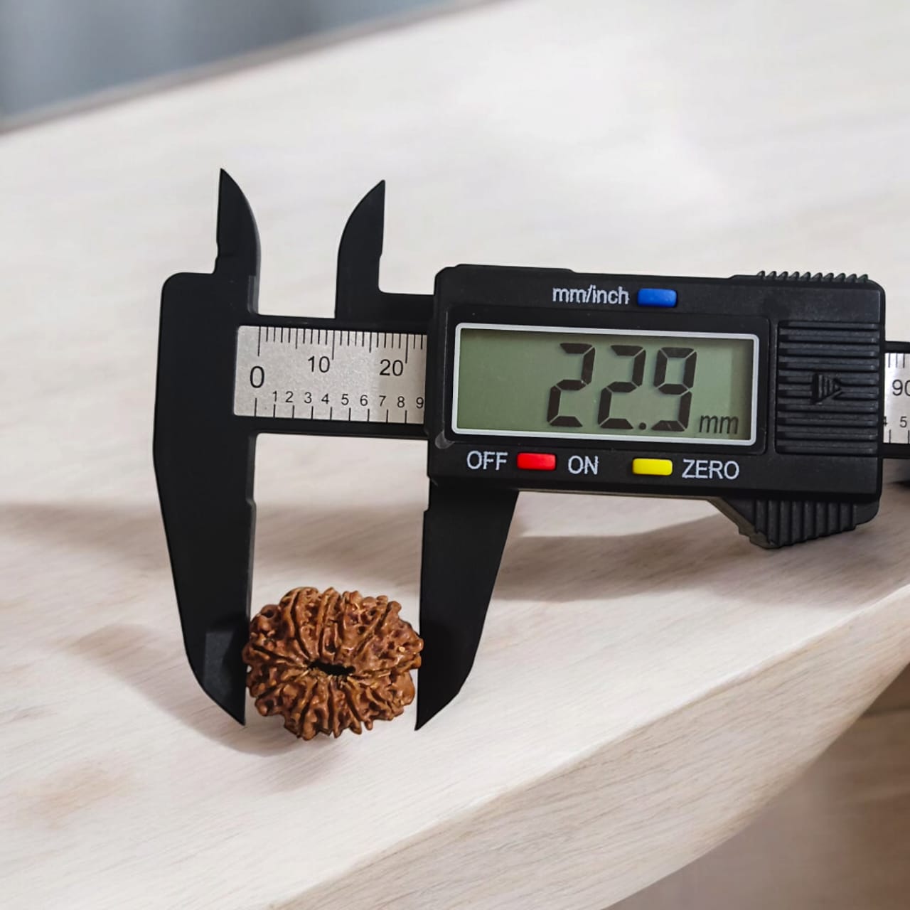 11_Mukhi_Rudraksha_-_Lab_Certified_-_For_Wisdom_Protection_and_Spiritual_Growth