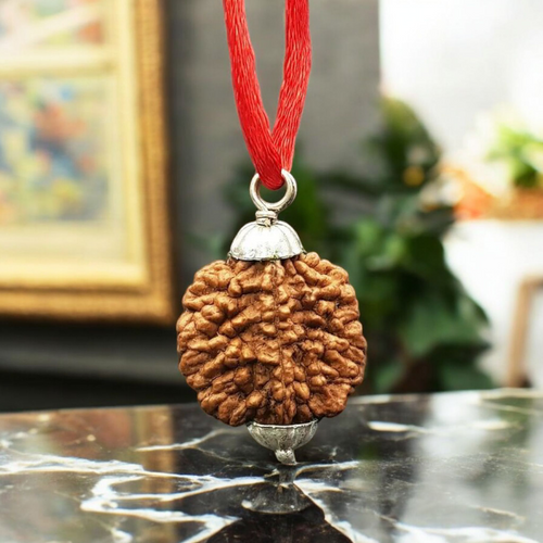 2 Mukhi Rudraksha Pendant Lab Certified for Relationship Harmony & Spiritual Growth