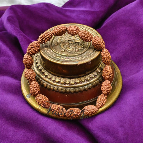 2 Mukhi Rudraksha Bracelet Lab Certified for Harmony & Spiritual Growth