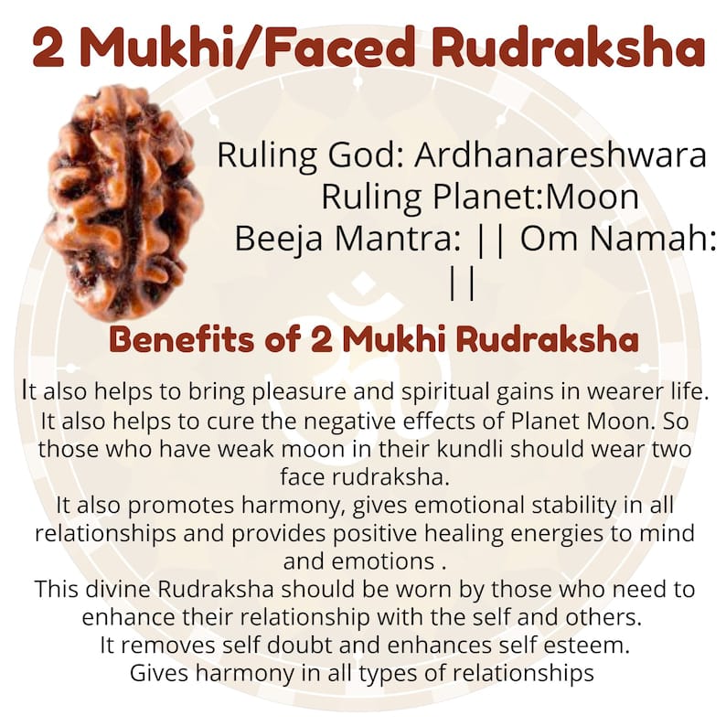 2 Mukhi Rudraksha Bracelet 8MM - Lab Certified - For Harmony, Relationship Balance, and Spiritual Growth