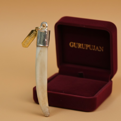 Shukar Dant Silver Cap Pendant | Wild Boar Teeth for Protection & Attraction