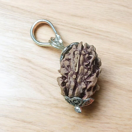 3 Mukhi Rudraksha - Lab Certified Natural Bead | Agni Dev Blessings for Inner Strength Gurupujan