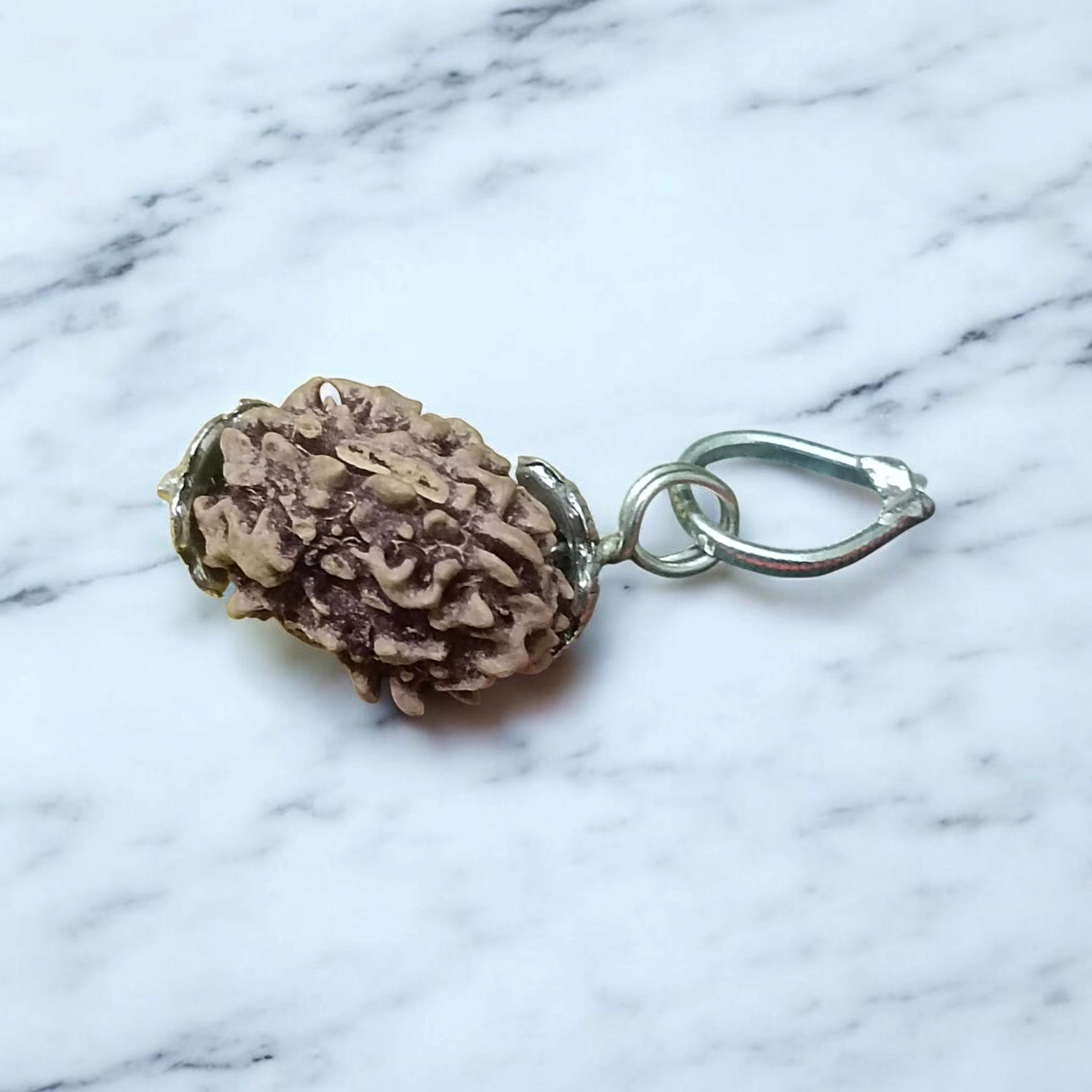 3 Mukhi Rudraksha - Lab Certified Natural Bead | Agni Dev Blessings for Inner Strength Gurupujan