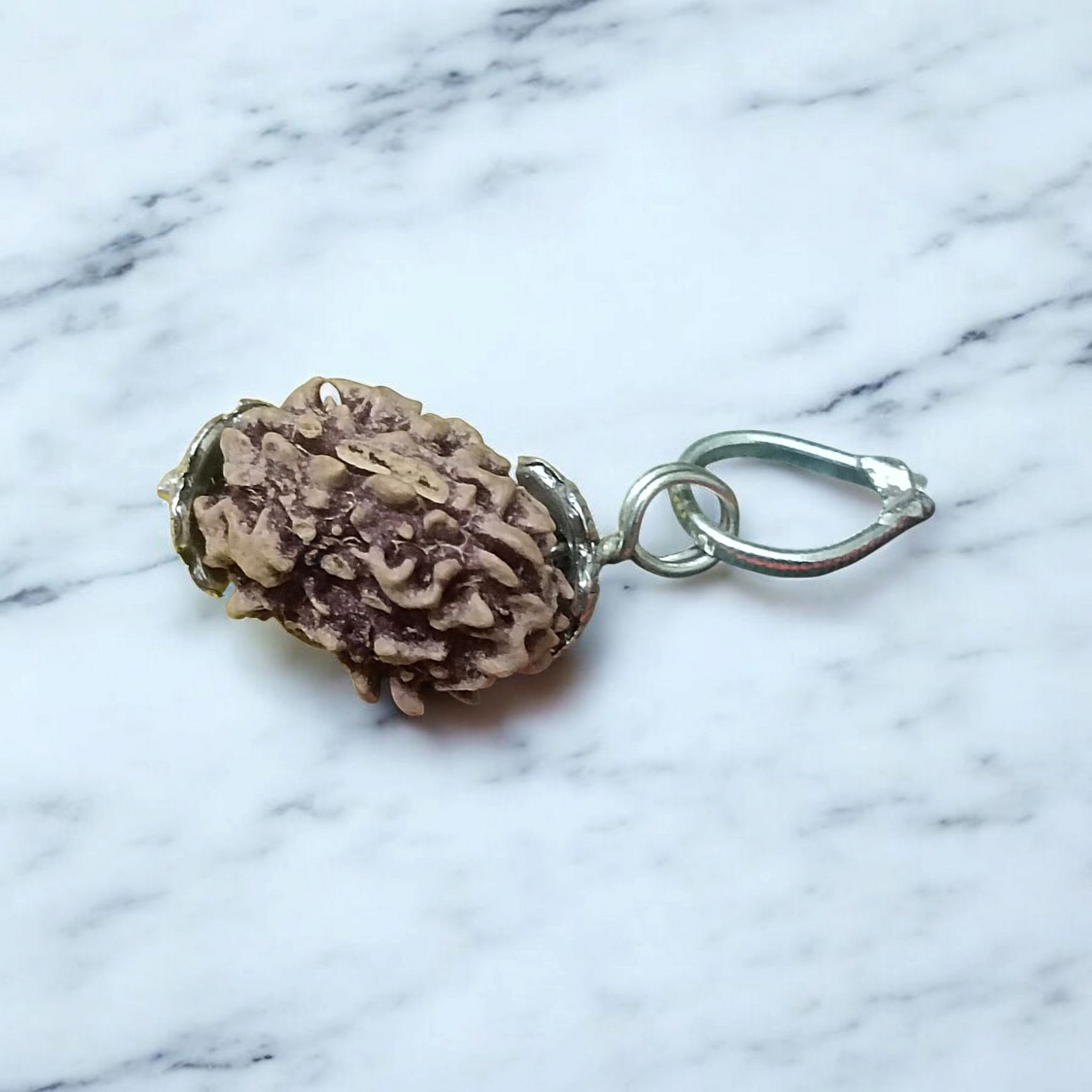 3 Mukhi Rudraksha - Lab Certified Natural Bead | Agni Dev Blessings for Inner Strength Gurupujan
