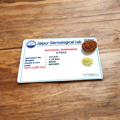 3 Mukhi Rudraksha - Lab Certified Natural Bead | Agni Dev Blessings for Inner Strength Gurupujan