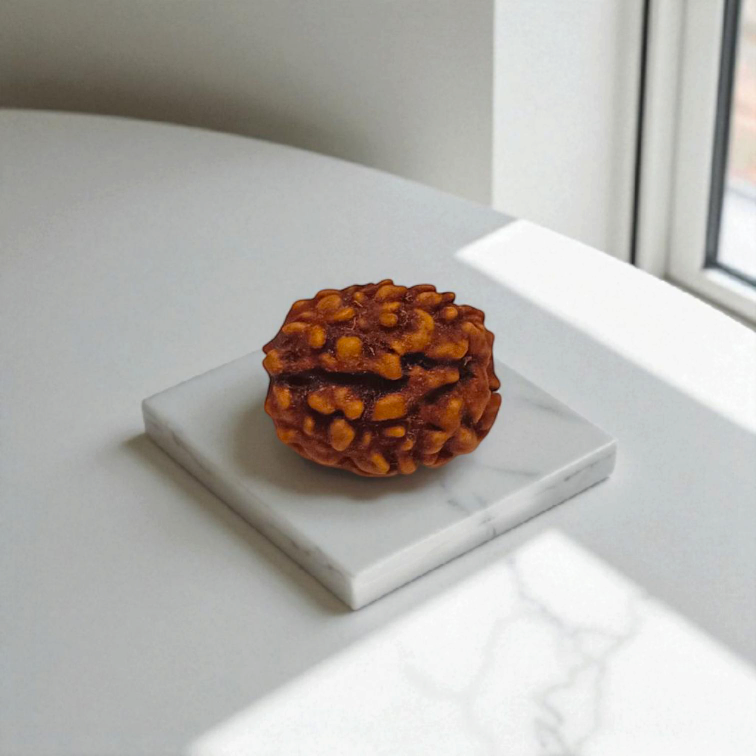 3 Mukhi Rudraksha - Lab Certified Natural Bead | Agni Dev Blessings for Inner Strength Gurupujan