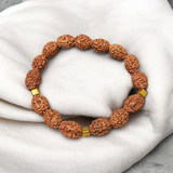 3 Mukhi Rudraksha Bracelet with natural brown beads on stretchable thread, lab certified for spiritual healing and confidence